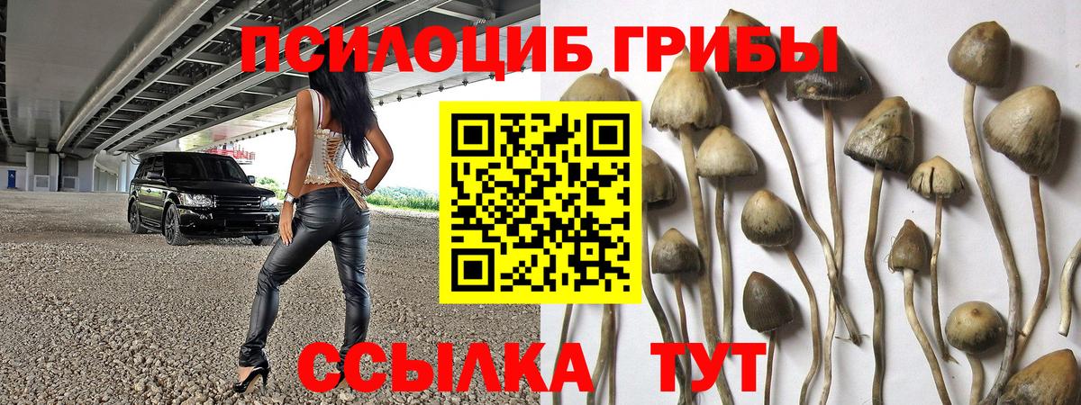 Псилоцибиновые грибы GOLDEN TEACHER Можга
